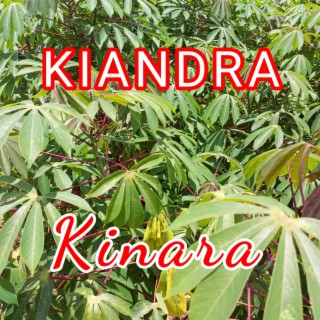 Kiandra