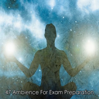 47 Ambiance pour la préparation aux examens