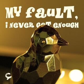 My Fault, I Never Get Enough