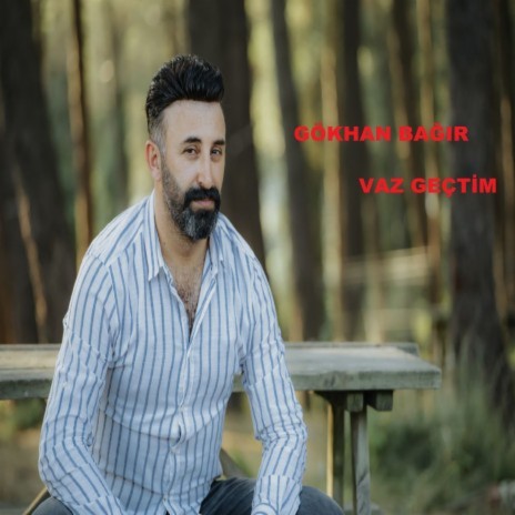 Bir Delinin Delisiyim | Boomplay Music