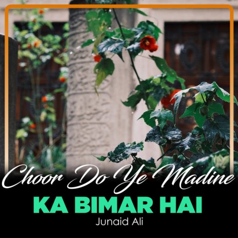 Choor Do Ye Madine Ka Bimar Hai | Boomplay Music