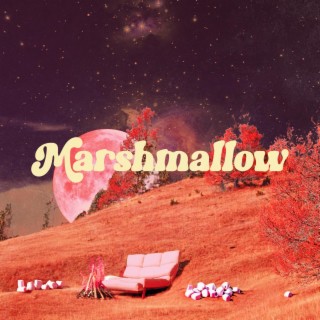 Marshmallow lyrics | Boomplay Music