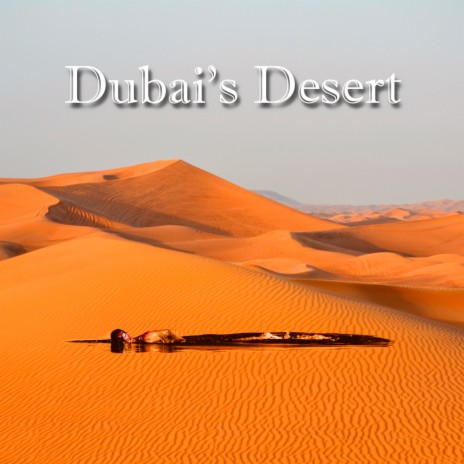 The Desert of Dubai ft. STITCH | Boomplay Music