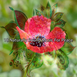 18 Musique Naturellement Sonore Pour La Paix