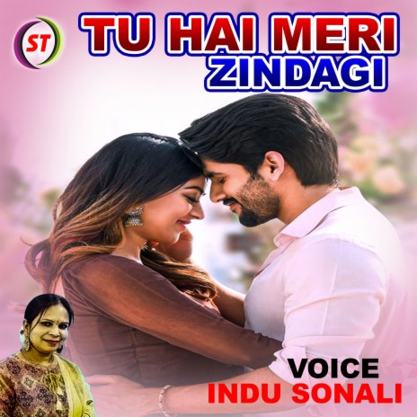 Tu Hai Meri Zindagi (Hindi) | Boomplay Music