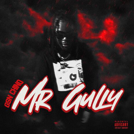 Mr Gully | Boomplay Music