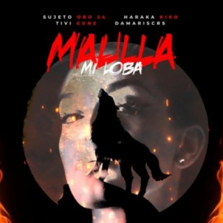 Maulla Mi Loba (feat. Tivi Gunz & Damariscrs)