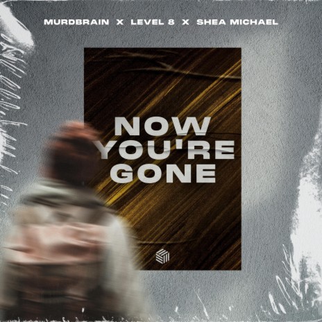 Now You're Gone ft. Level 8 & Shea Michael | Boomplay Music