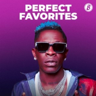 Perfect Favorites  | Boomplay Music