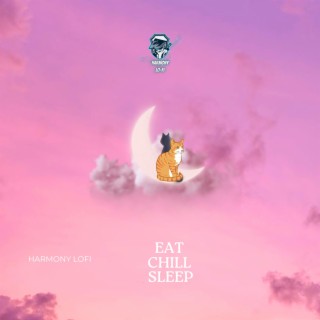 Eat Chill Sleep