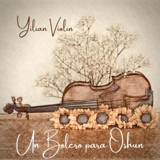 Yilian Violin