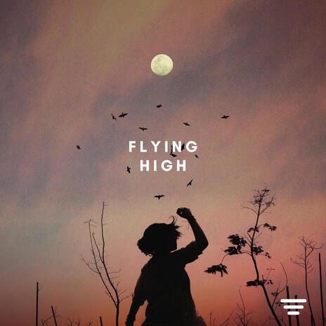 Flying High | Boomplay Music