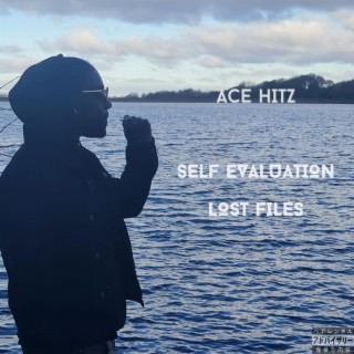 Self Evaluation (Lost Files)