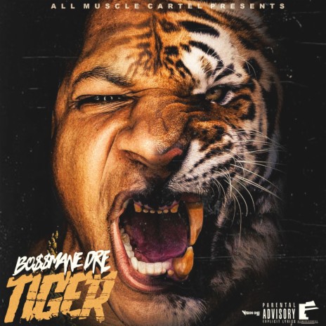 Tiger (instrumental) | Boomplay Music