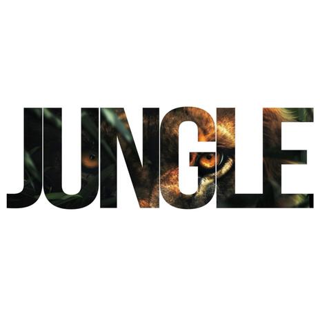 Jungle | Boomplay Music