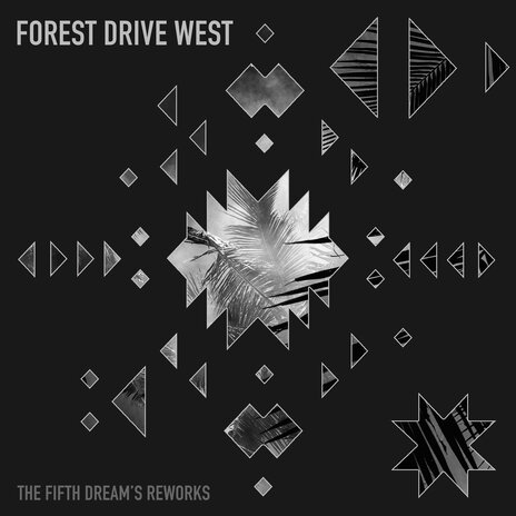 Night in Palmtree (Forest Drive West Rework) ft. Forest Drive West | Boomplay Music