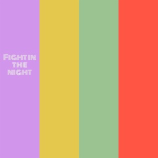Fight In The Night