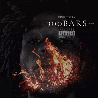 300Bars