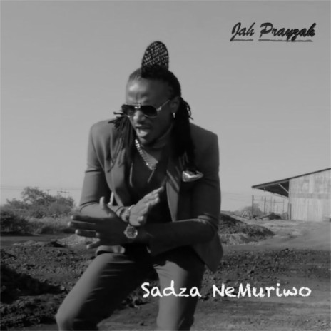 Sadza Nemuriwo | Boomplay Music