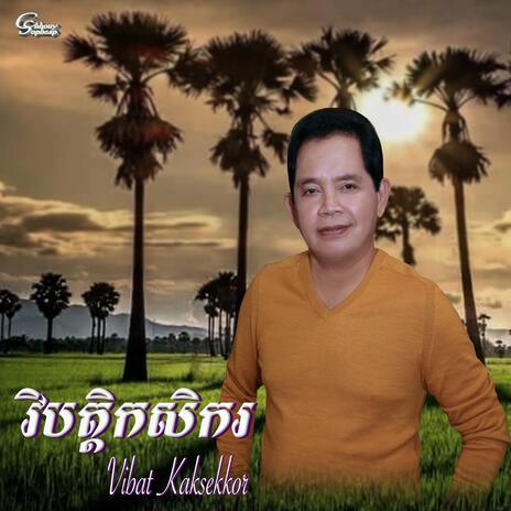 Vibat Kaksekkor | Boomplay Music