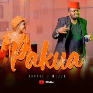 Pakua ft. Mejja lyrics | Boomplay Music