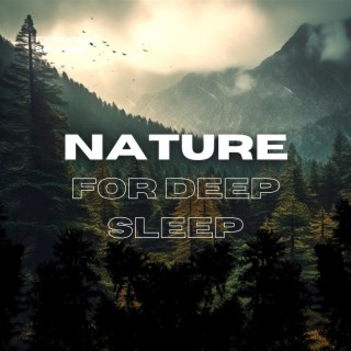 Forest Sounds: Nature for Deep Sleep, Meditation & Relaxation