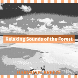 Relaxing Sounds of the Forest