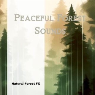 Peaceful Forest Sounds