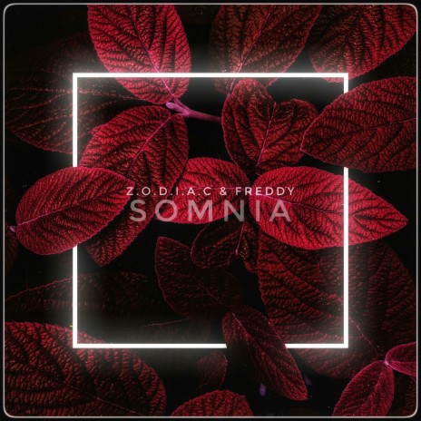 Somnia ft. Freddy | Boomplay Music