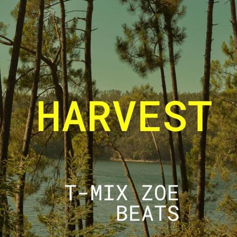 HARVEST | Boomplay Music