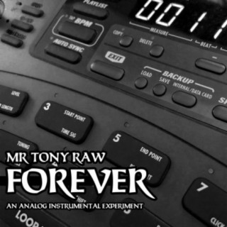 Forever (Instrumental)