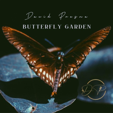 Butterfly Garden | Boomplay Music