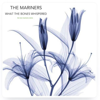 What the Bones Whispered (the lost mariners Remix)