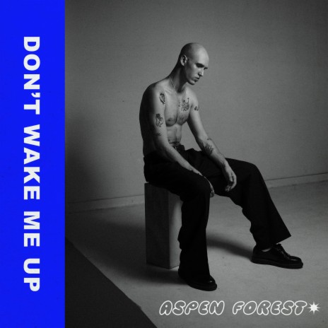 DON'T WAKE ME UP | Boomplay Music