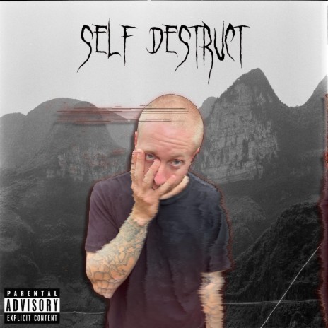 Self Destruct | Boomplay Music