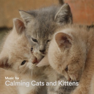 Music for Calming Cats and Kittens