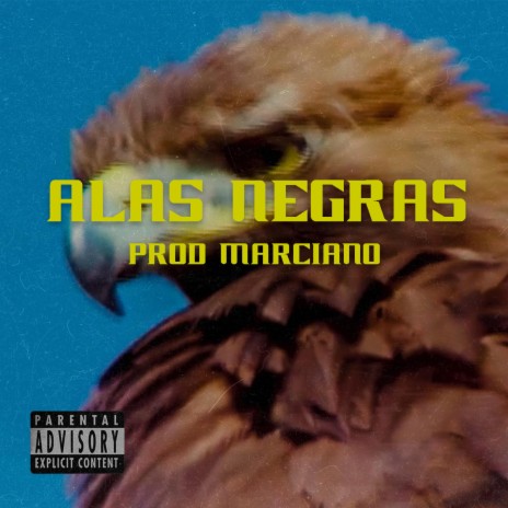 Alas Negras | Boomplay Music