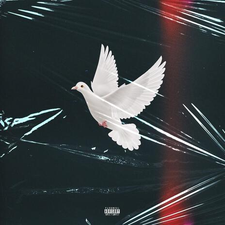 For The Birds | Boomplay Music