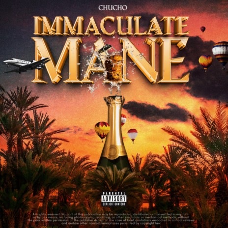 IMMACULATE MANE | Boomplay Music