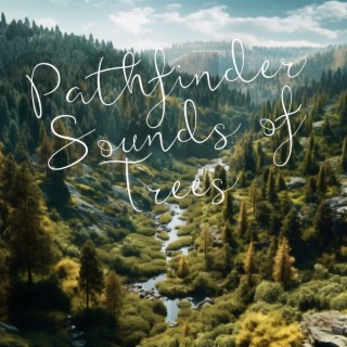 Pathfinder: Sounds of Trees