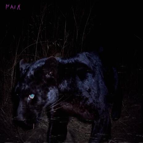 panther | Boomplay Music