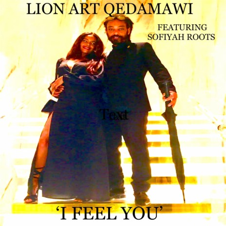 I Feel You (Radio Edit) ft. Sofiyah Roots