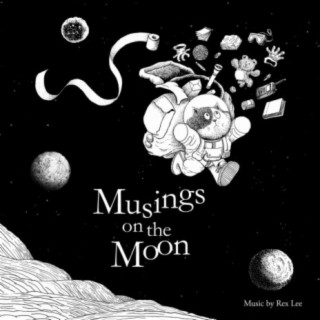 Musings On The Moon