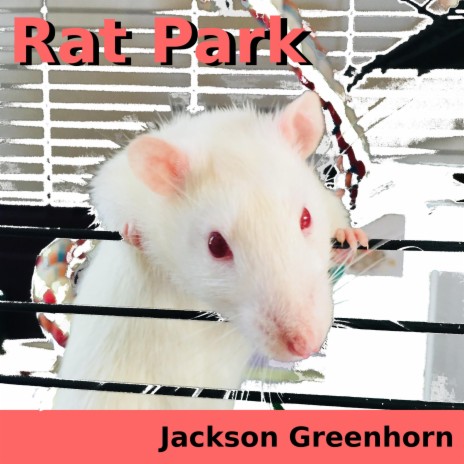 Rat Park