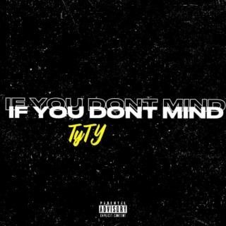 If You Dont Mind lyrics | Boomplay Music