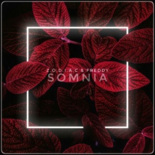 Somnia