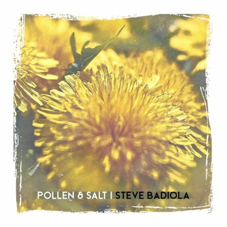 Pollen and Salt | Boomplay Music