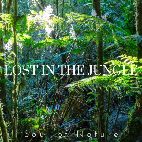 Jungle Ambience ft. HiFi Nature Sound Library