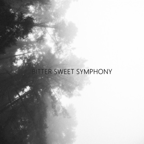 Bitter Sweet Symphony (Kizomba Remix) | Boomplay Music