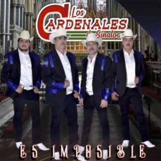 Los Cardenales de Sinaloa